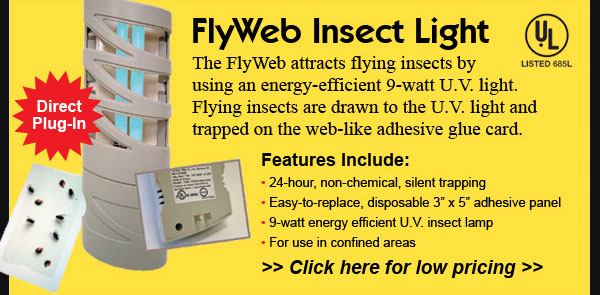 Direct Plug-In! FlyWeb Insect Light: The FlyWeb attracts flying insects by using an energy-efficient 9-watt U.V. light. Flying insects are drawn to the U.V. light and trapped on the web-like adhesive glue card.Features Include: • 24-hour, non-chemical, silent trapping • Easy-to-replace, disposable 3 x 5 adhesive panel • 9-watt energy efficient U.V. insect lamp • For use in confined areas. Click here for low pricing!