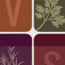 Vertical Spice