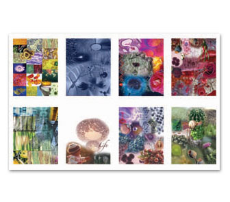 Book Spread Image