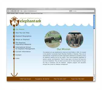 Website Image