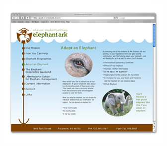Website Image