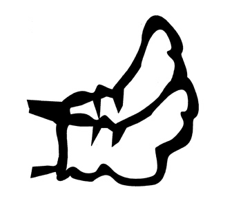 Icon Image