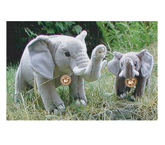 Merchandise Image