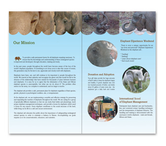 Brochure Image