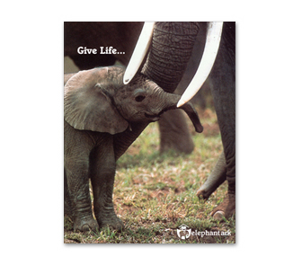 Magazine Ad Image