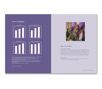 Annual Report Spread Image