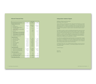 Annual Report Spread Image