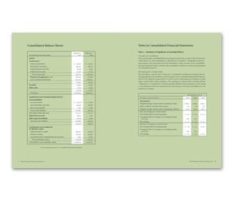 Annual Report Spread Image