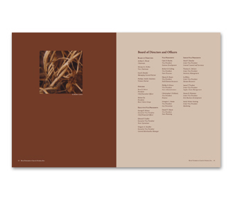 Annual Report Spread Image