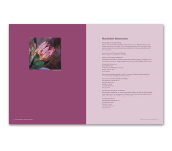 Annual Report Spread Image