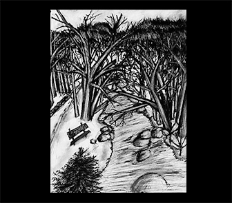 Drawing Image