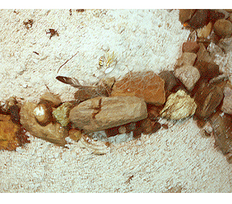 Sculpture Image
