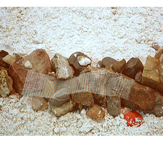 Sculpture Image