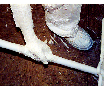 Sculpture Image