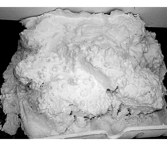Sculpture Image