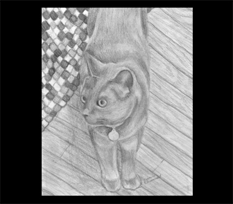 Drawing Image