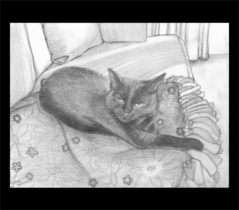 Drawing Image