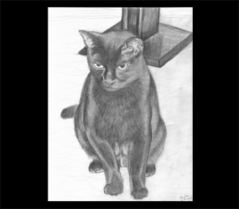 Drawing Image